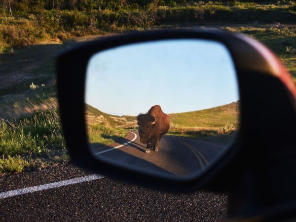 Objects in the Mirror