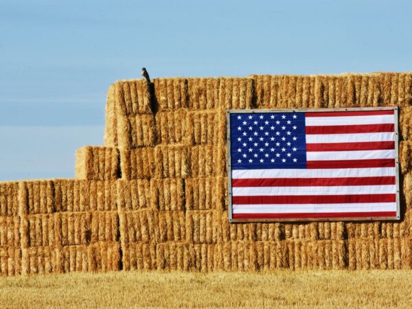 Flag Bales