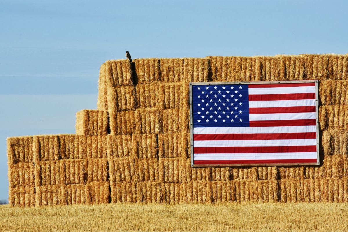 Flag Bales